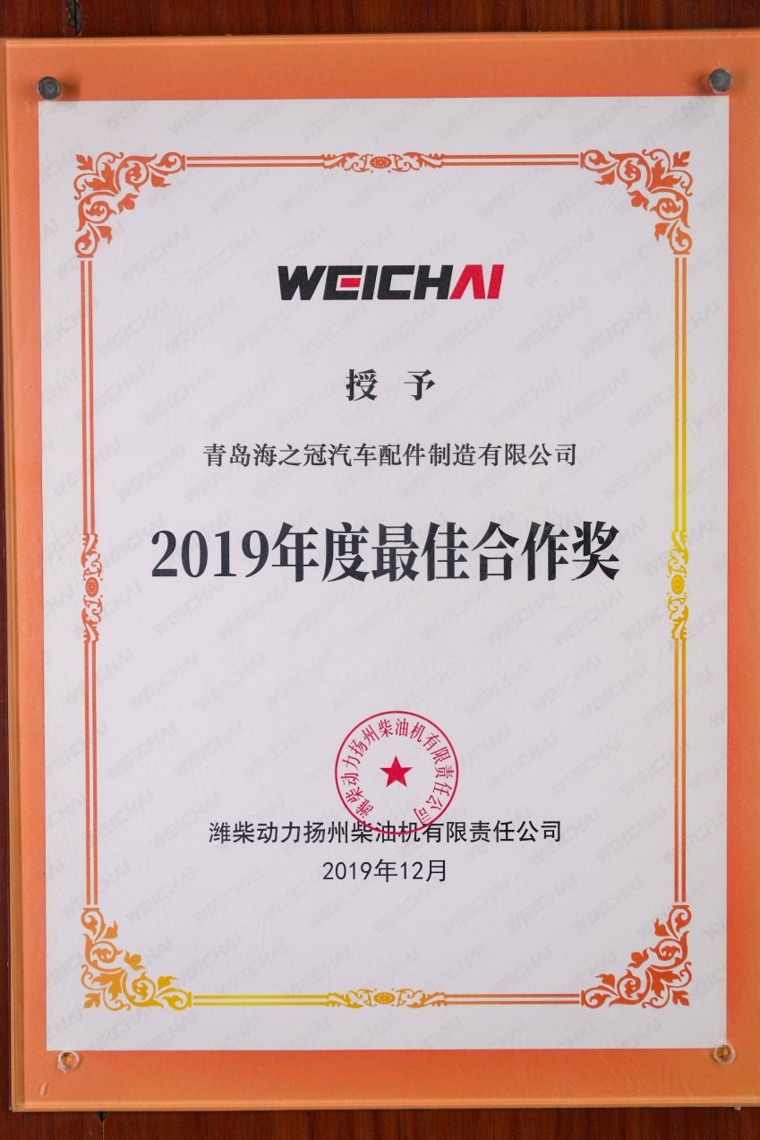 客户颁发-最佳合作奖-Best Cooperation Award Presented by Client.jpg